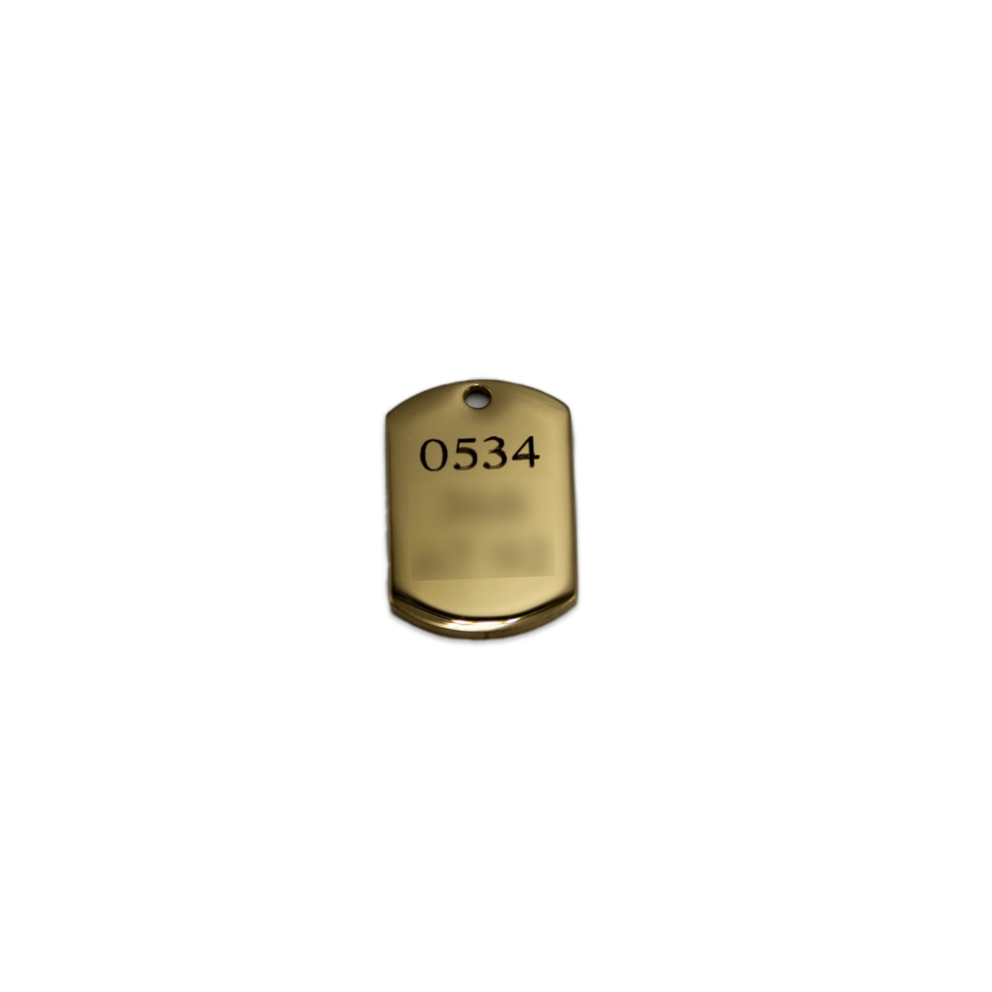 Cat & Dog Named Steel Tag Collar