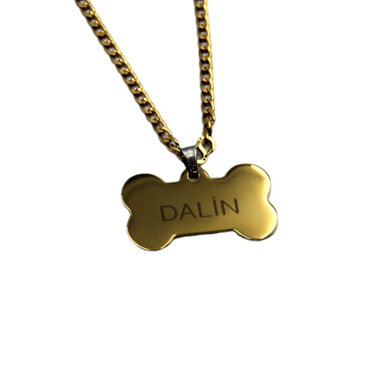 Dog Named Steel Bone Collar